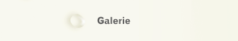 Galerie